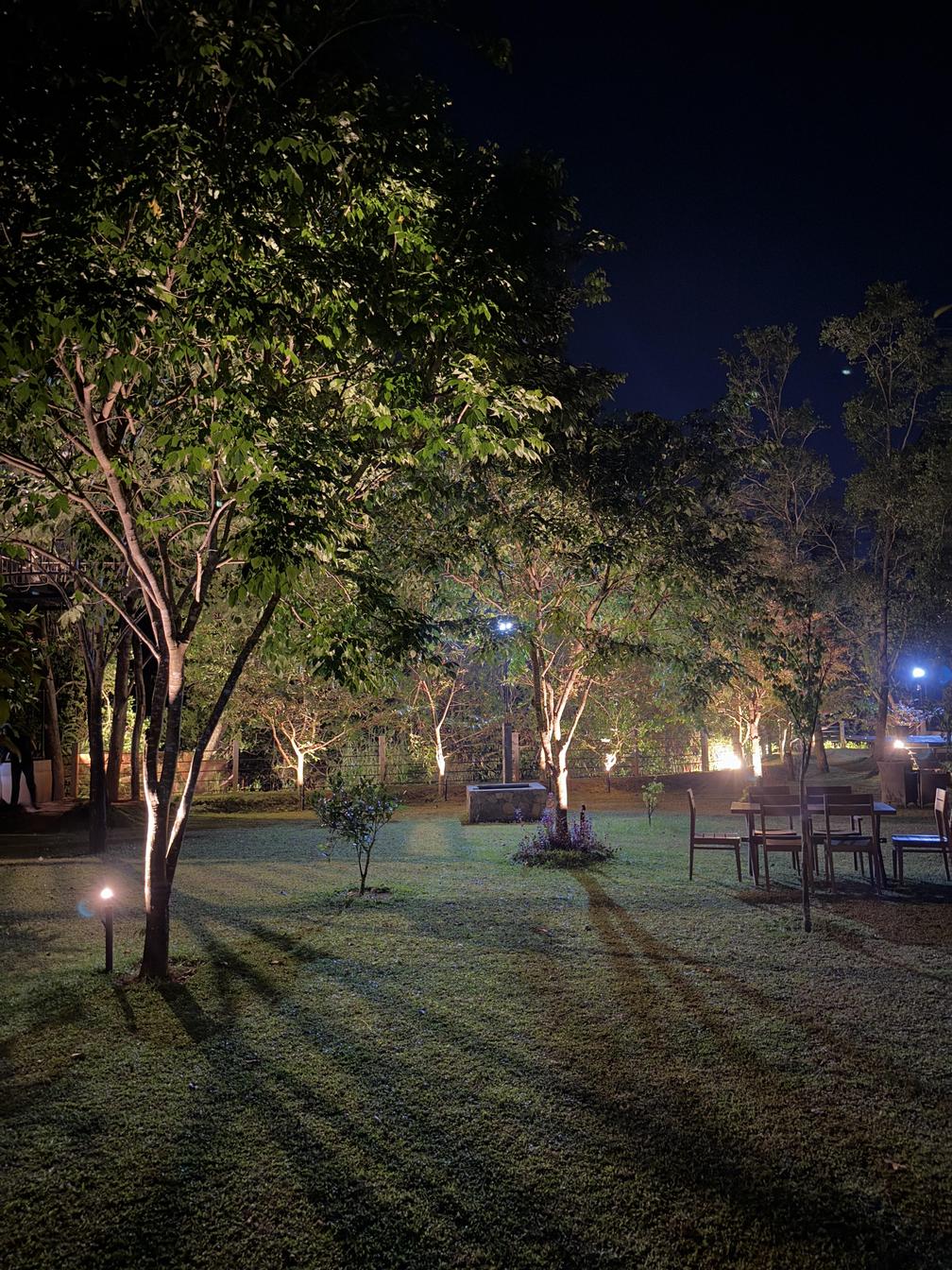 garden 3